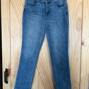 Democracy Blue Straight Leg Jeans